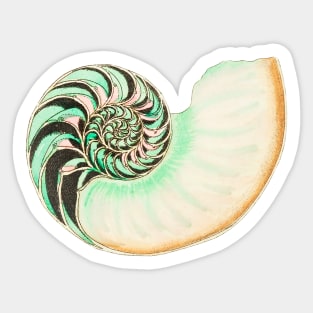 Whitish nautilus shell Sticker